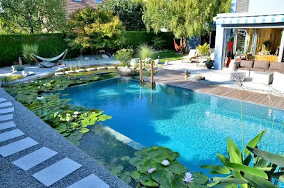 Logo of Dynamic Pools, Waterfalls & Irrigation