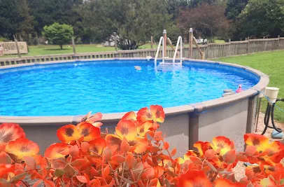 Logo of Leslie's Pool Supplies