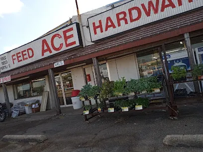 Logo of Mesquite Ace Hardware