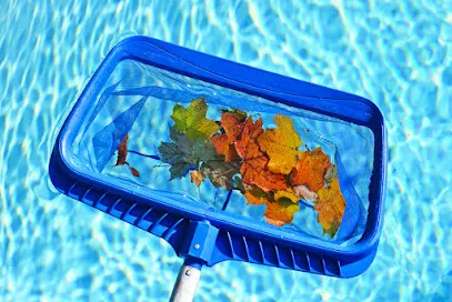 Logo of Mr. Poolman