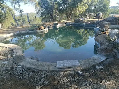 Logo of Victors Pools