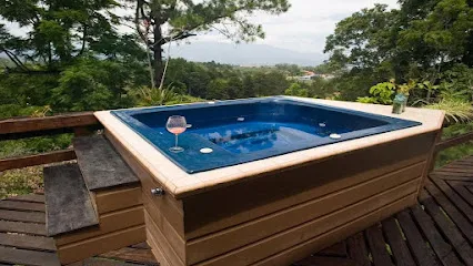 Logo of Wellis Hot Tubs of Colorado