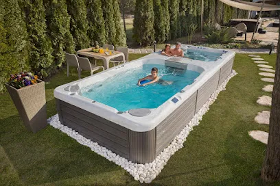 Logo of Wellis® Swim Spa & Hot Tubs Miami